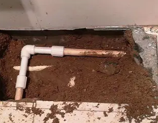 莱西测漏水哪家好