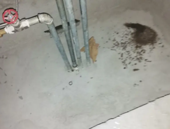 莱西卫生间测漏水价格明细